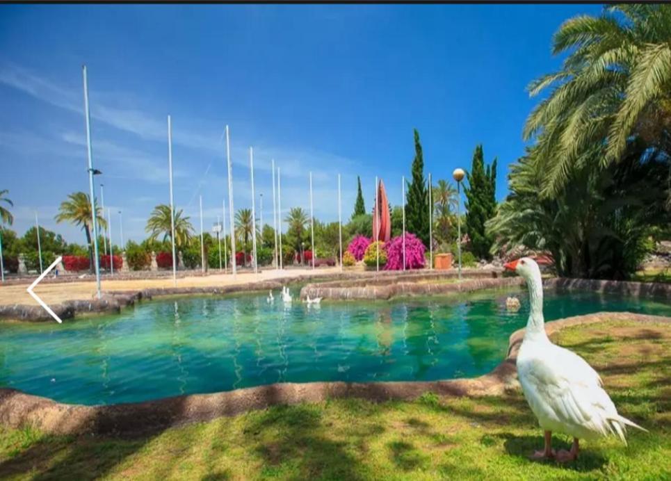 Beach Apartment Τορεβιέχα Εξωτερικό φωτογραφία
